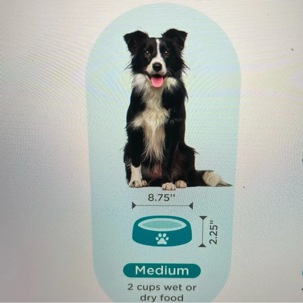 Outward Hound SLO Bowl Dog Feeder